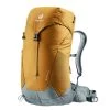 Deuter AC Lite 22 SL Backpack Cinnamon-teal