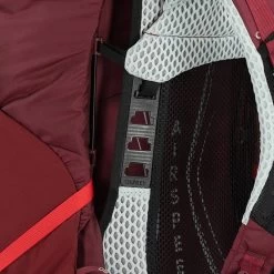 Osprey Aura AG LT 65 WM/L Antidote Purple -Mode Tassen Winkel image 5747